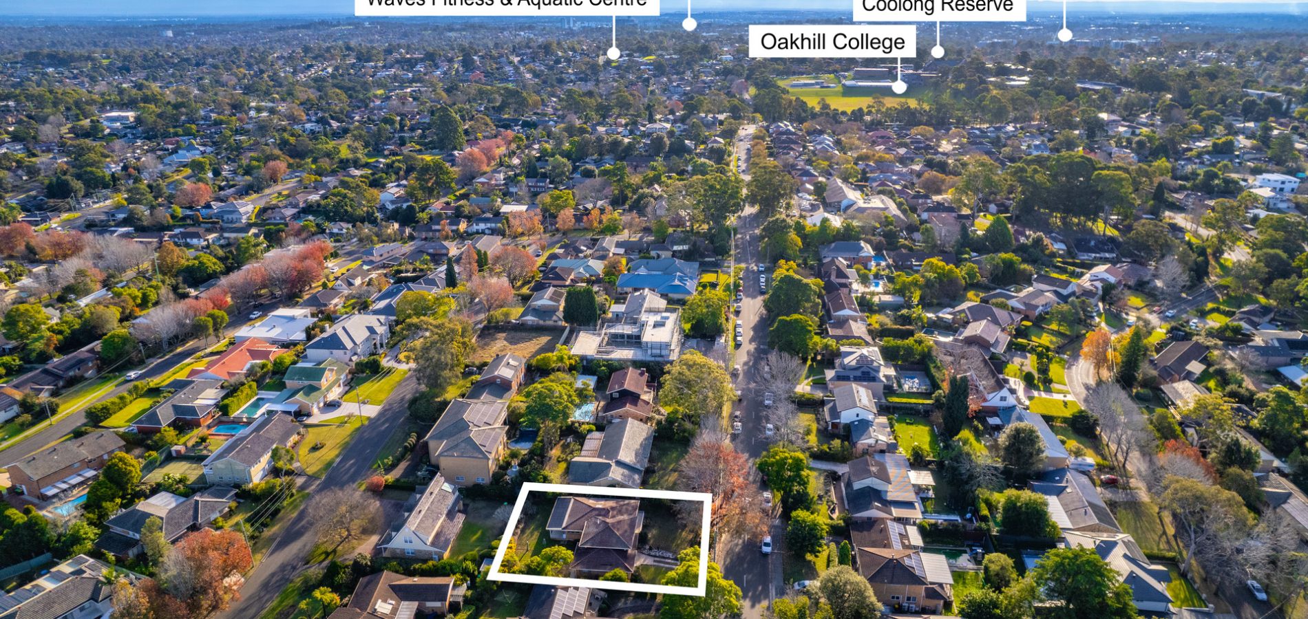 204 Excelsior Avenue, Castle Hill NSW 2154 - photo 20