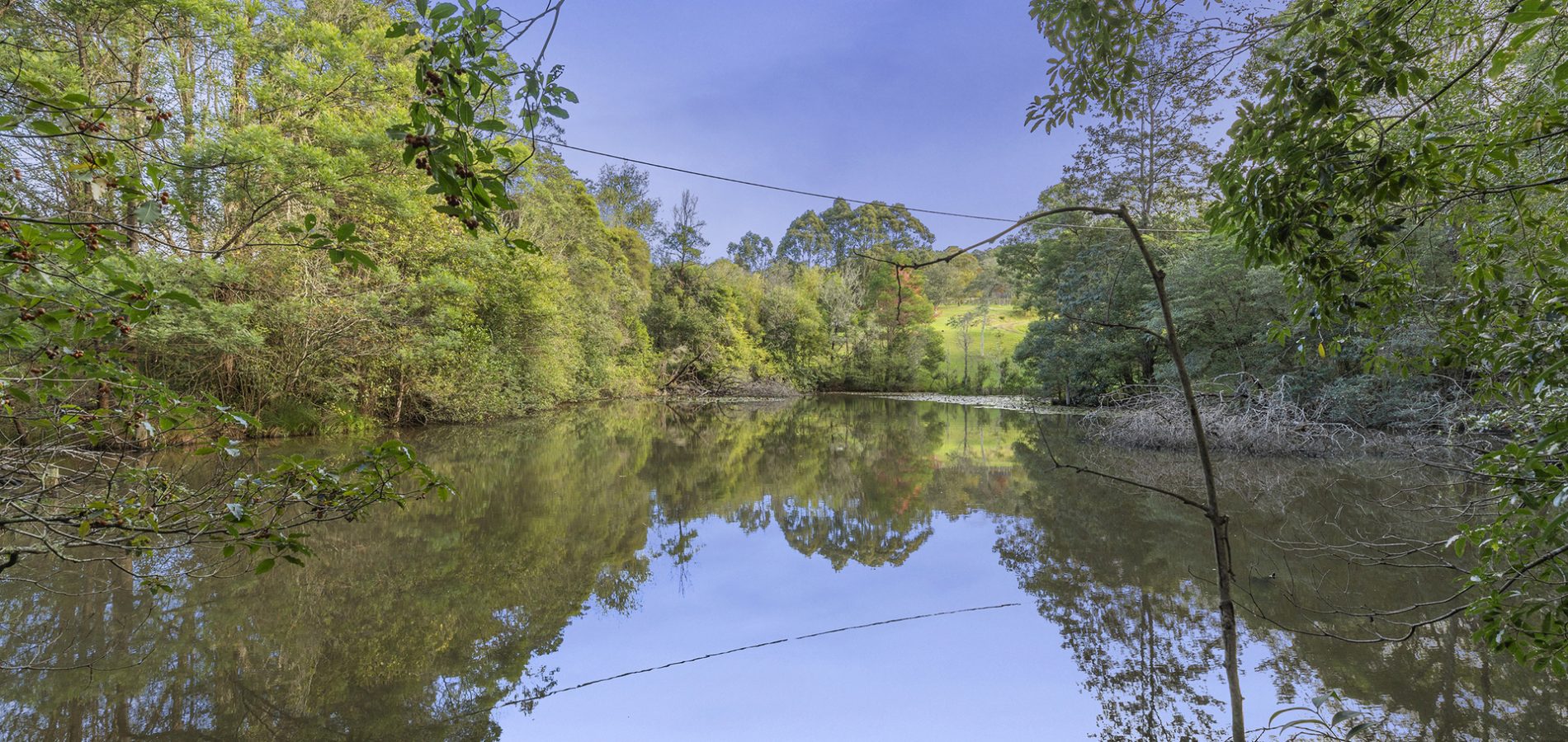 42 Hermitage Road, Kurrajong Hills NSW 2758 - photo 20