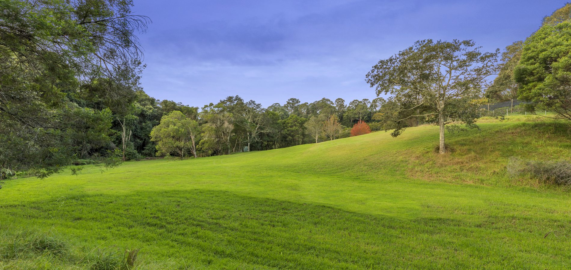 42 Hermitage Road, Kurrajong Hills NSW 2758 - photo 21