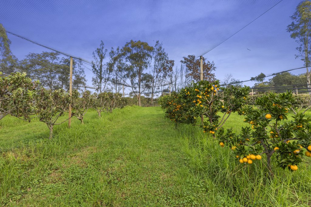 42 Hermitage Road, Kurrajong Hills NSW 2758 - photo 24