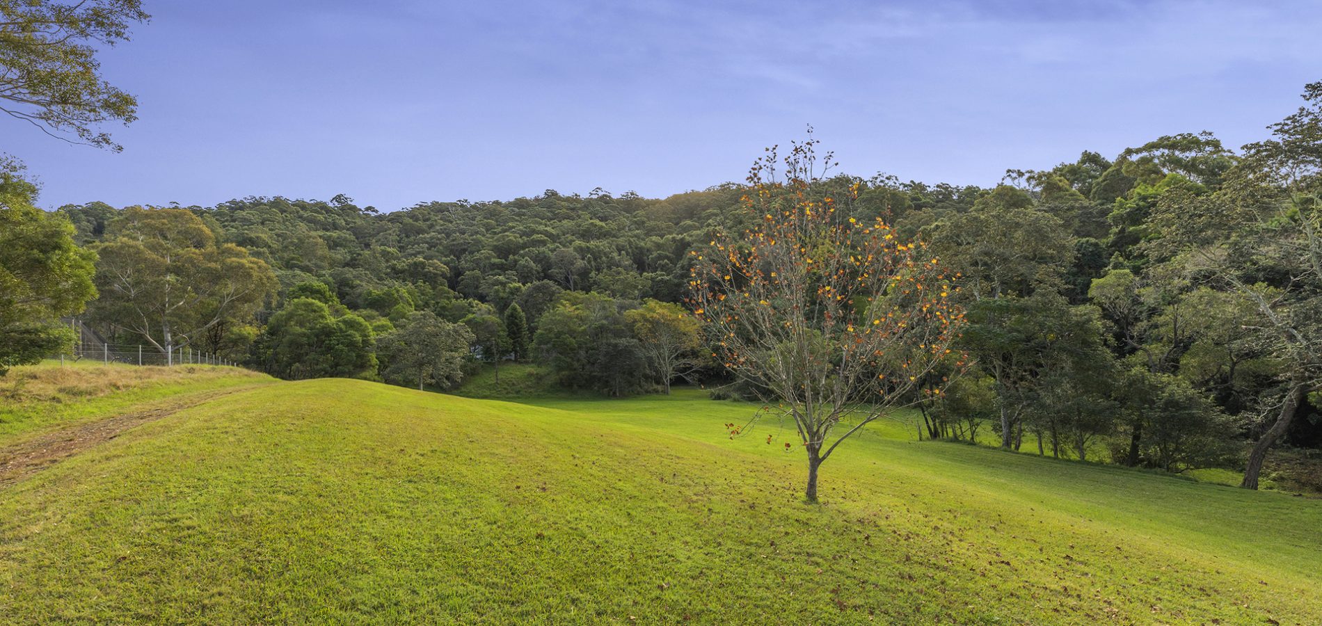 42 Hermitage Road, Kurrajong Hills NSW 2758 - photo 25