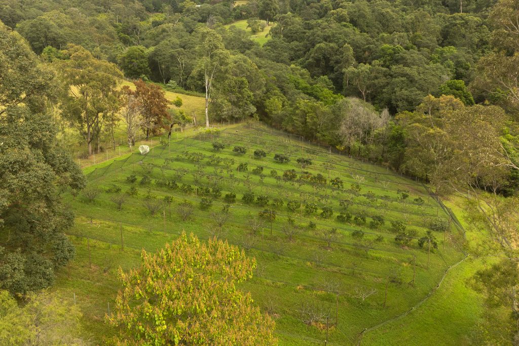 42 Hermitage Road, Kurrajong Hills NSW 2758 - photo 30