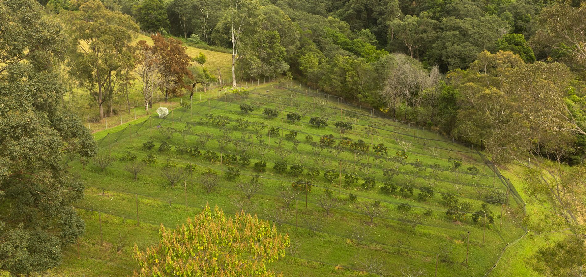 42 Hermitage Road, Kurrajong Hills NSW 2758 - photo 30