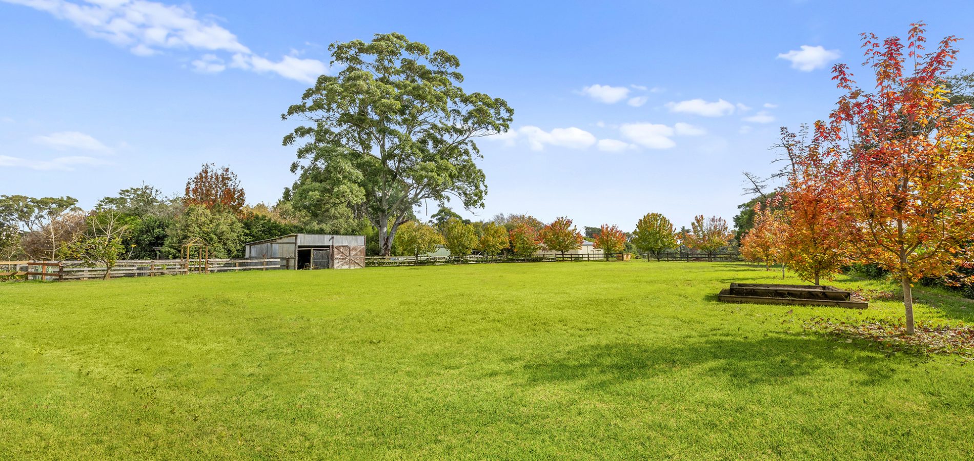 43 Cobah Road, Arcadia NSW 2159 - photo 3