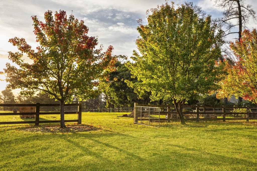 43 Cobah Road, Arcadia NSW 2159 - photo 29