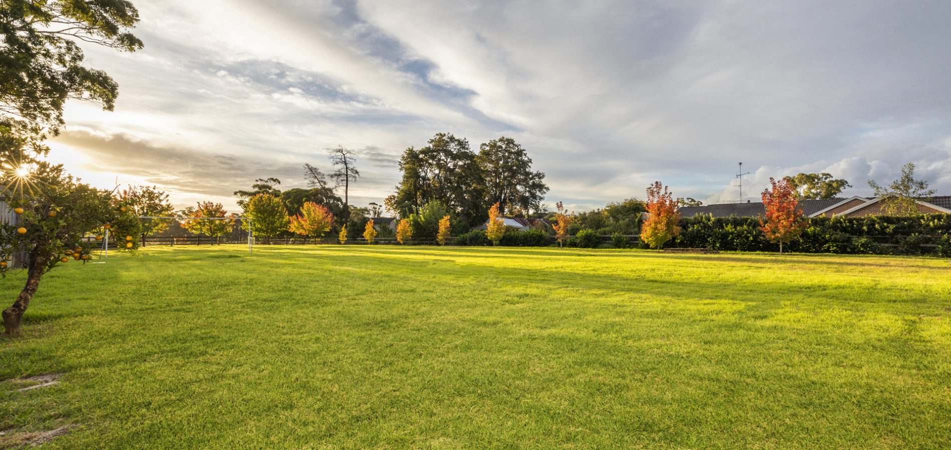 43 Cobah Road, Arcadia NSW 2159 - photo 4