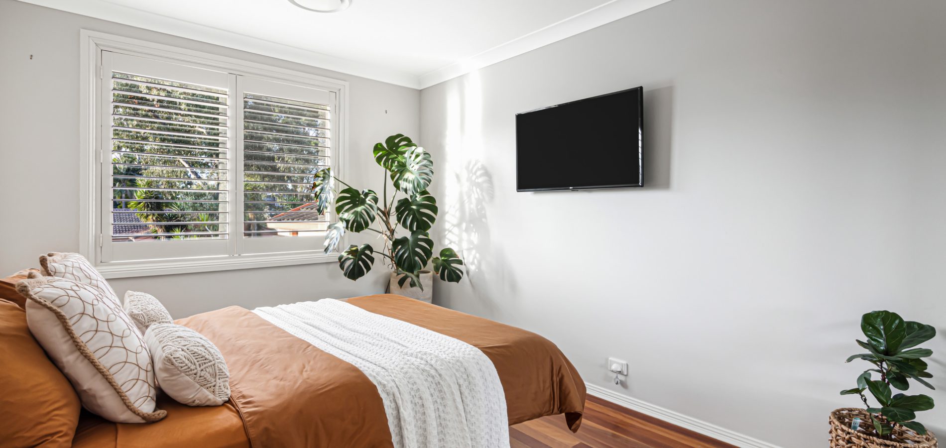 19 Bulli Road, Toongabbie NSW 2146 - photo 7