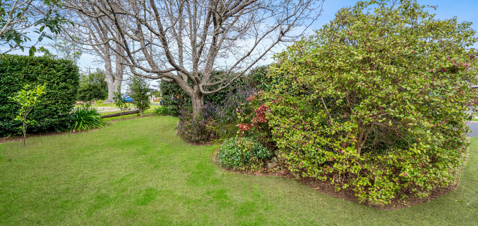 4 Jaffa Road, Dural NSW 2158 - photo 3