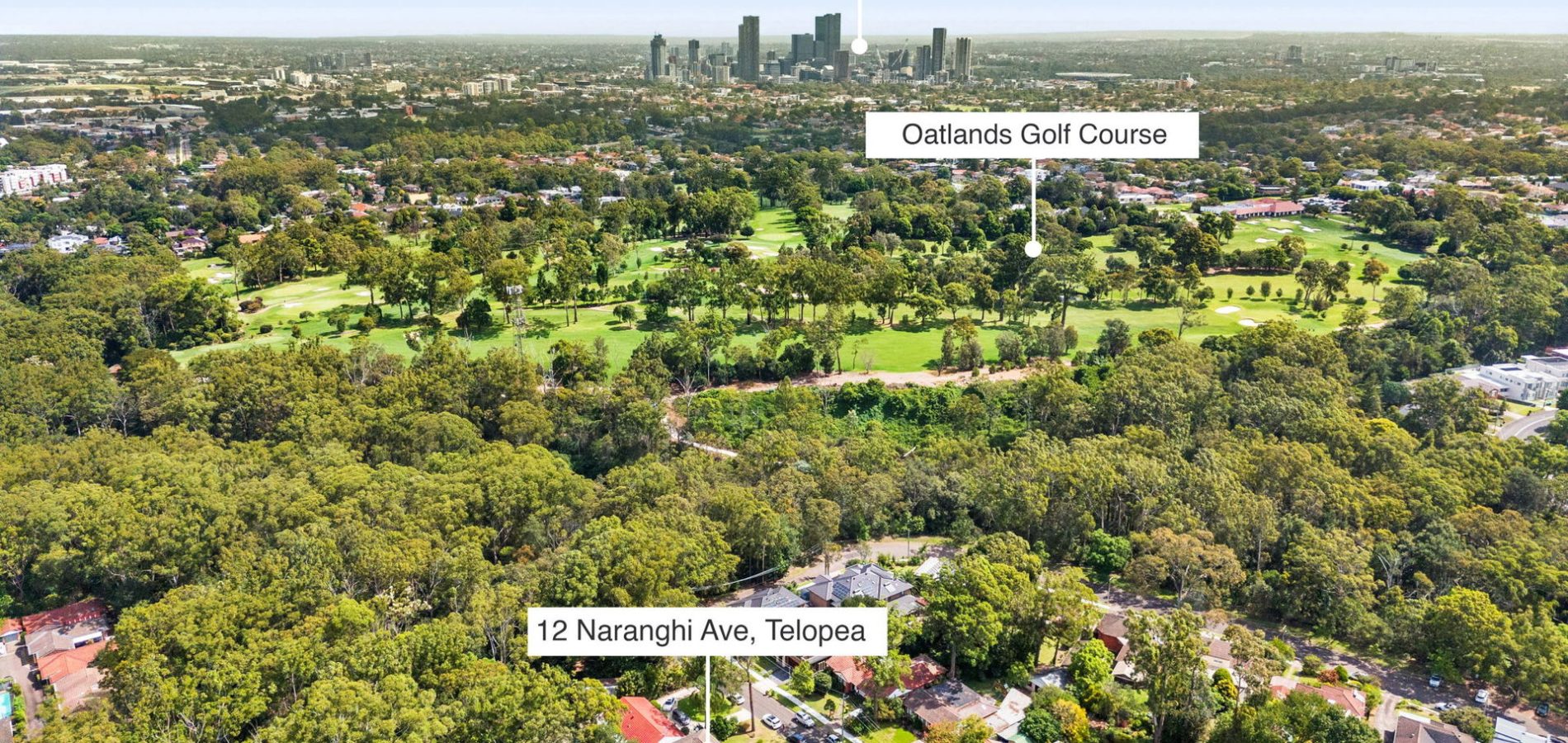 12 Naranghi Avenue, Telopea NSW 2117 - photo 8