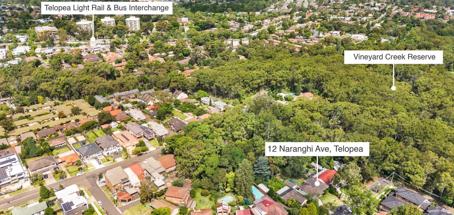 12 Naranghi Avenue, Telopea NSW 2117 - photo 9