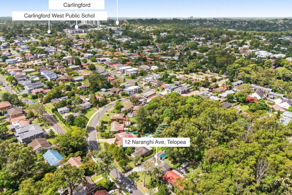 12 Naranghi Avenue, Telopea NSW 2117 - photo 10