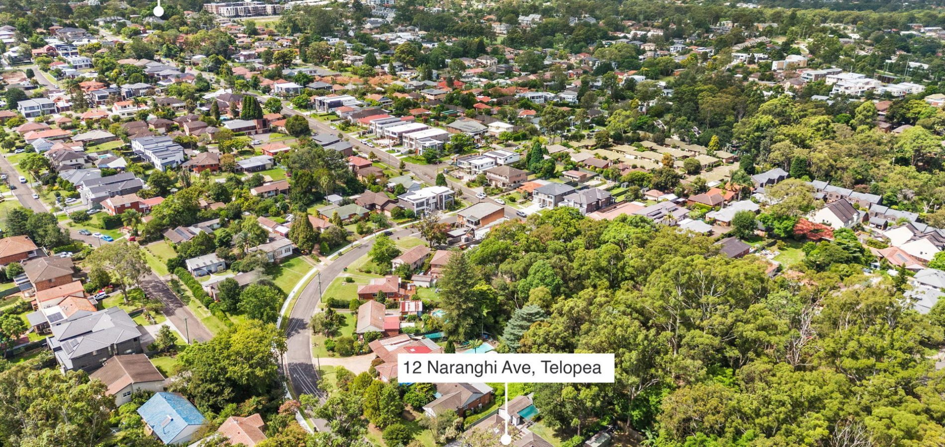 12 Naranghi Avenue, Telopea NSW 2117 - photo 10