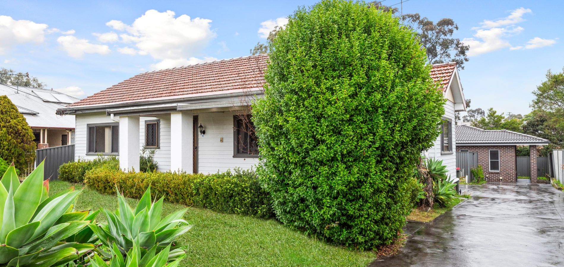 46 Carinya Road, Girraween NSW 2145 - photo 8