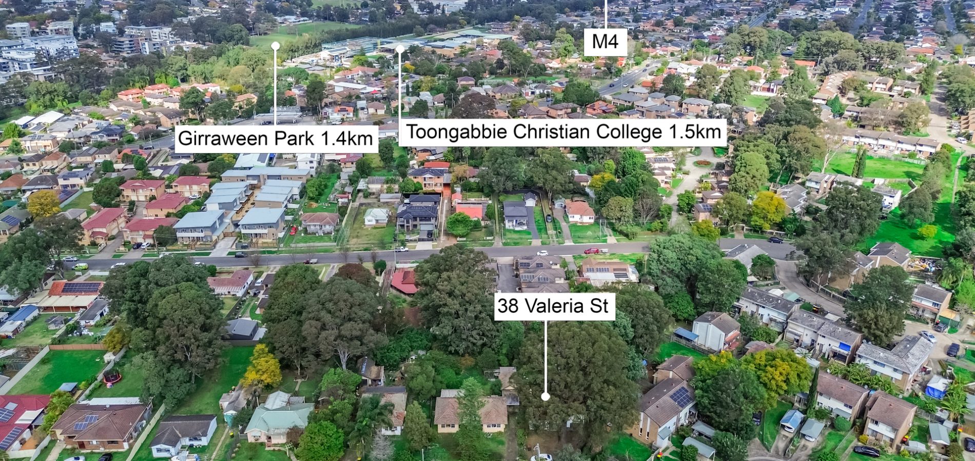 38 Valeria Street, Toongabbie NSW 2146 - photo 16