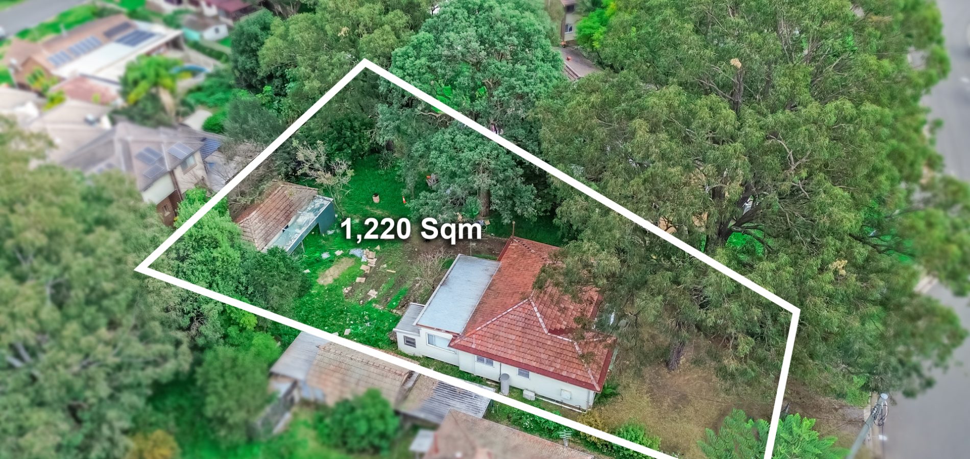 38 Valeria Street, Toongabbie NSW 2146 - photo 21