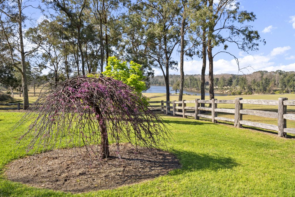 Sold - 403 Grono Farm Road - New Property in Wilberforce - Real Estate by Greg Vincent