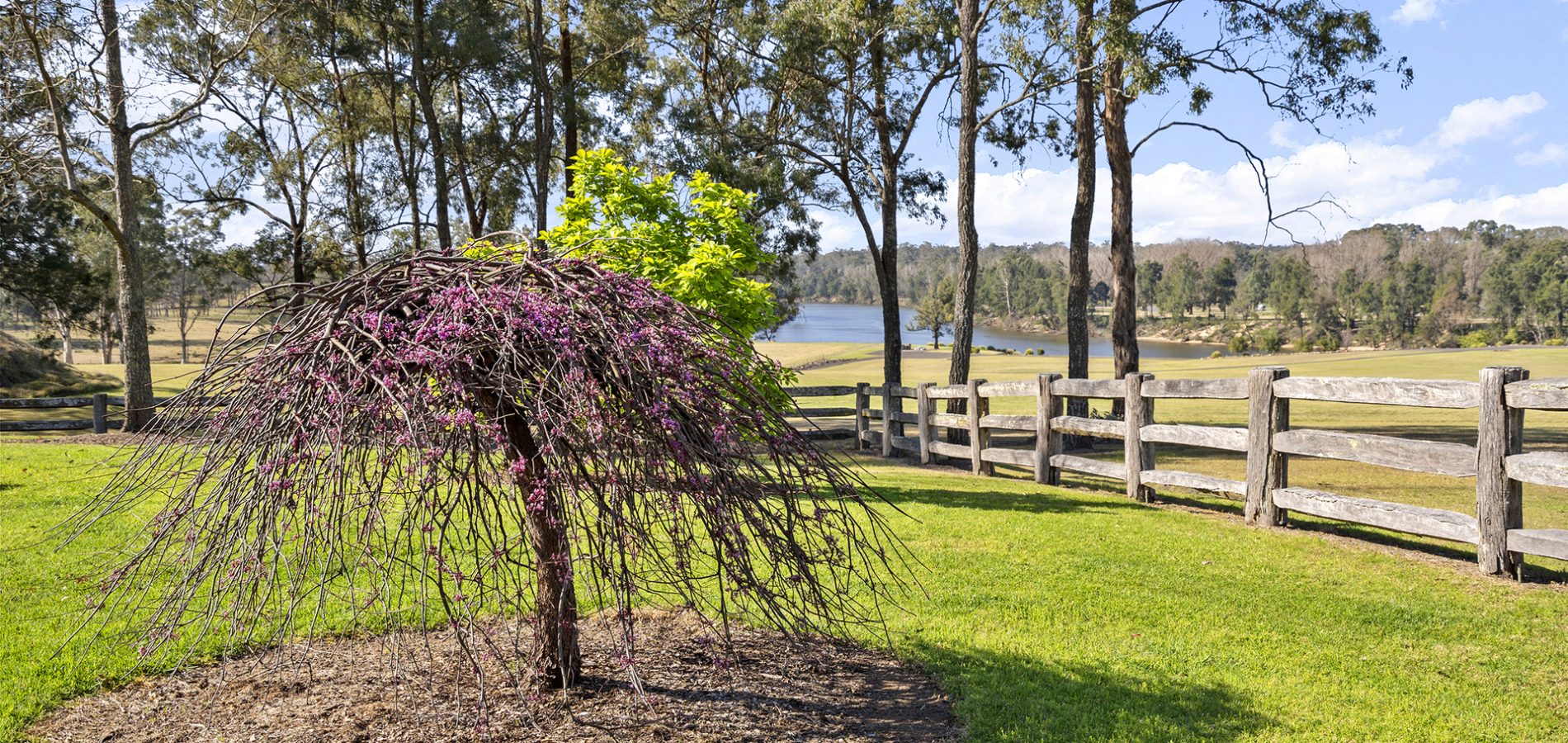 Sold - 403 Grono Farm Road - New Property in Wilberforce - Real Estate by Greg Vincent