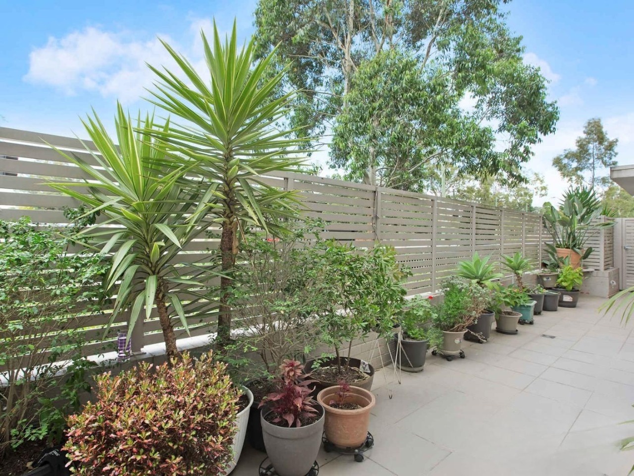 3/21-25 Seven Hills Road, Baulkham Hills NSW 2153 - photo 5