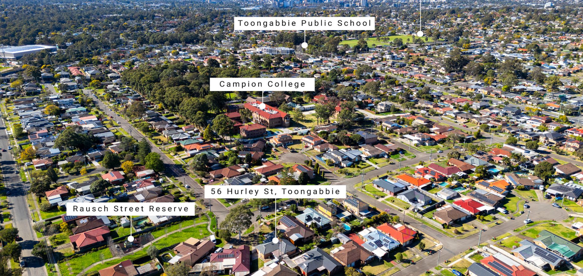 56 Hurley Street, Toongabbie NSW 2146 - photo 15