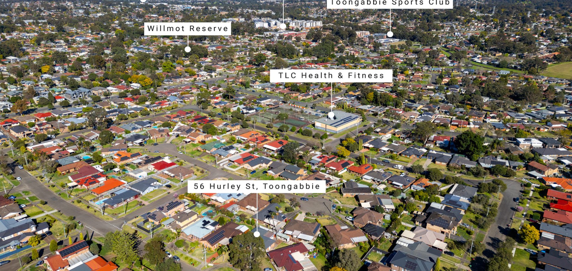56 Hurley Street, Toongabbie NSW 2146 - photo 16
