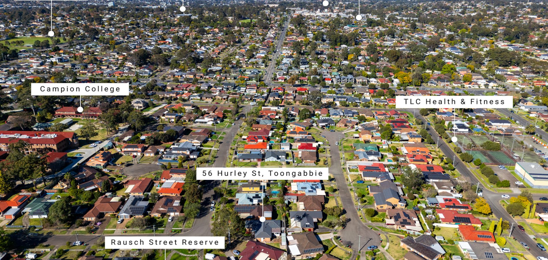 56 Hurley Street, Toongabbie NSW 2146 - photo 17