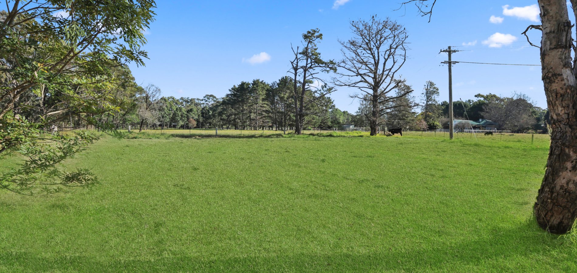 Sold - 47 Hilton Park Road - New Property in Tahmoor - Real Estate by Louis Stapleton