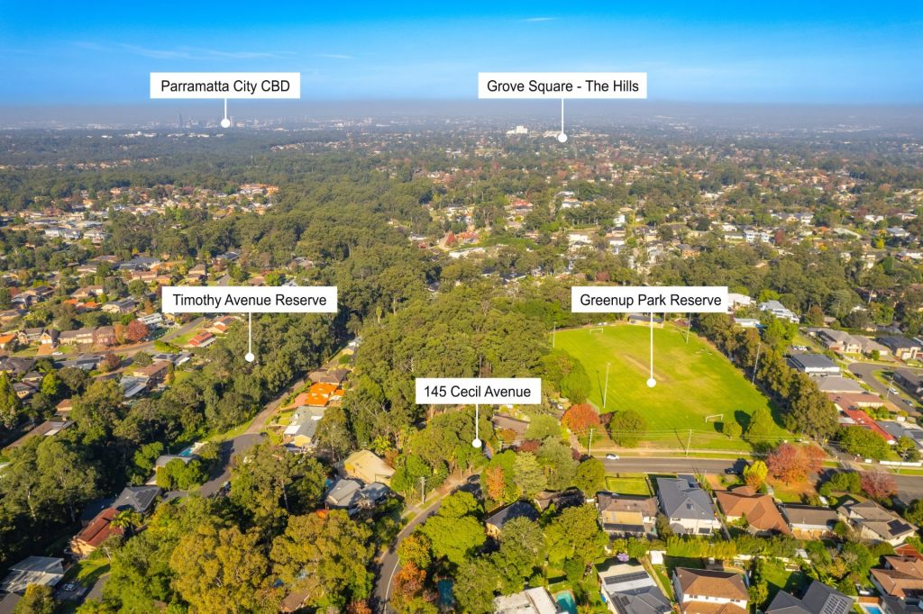 145 Cecil Avenue, Castle Hill NSW 2154 - photo 27