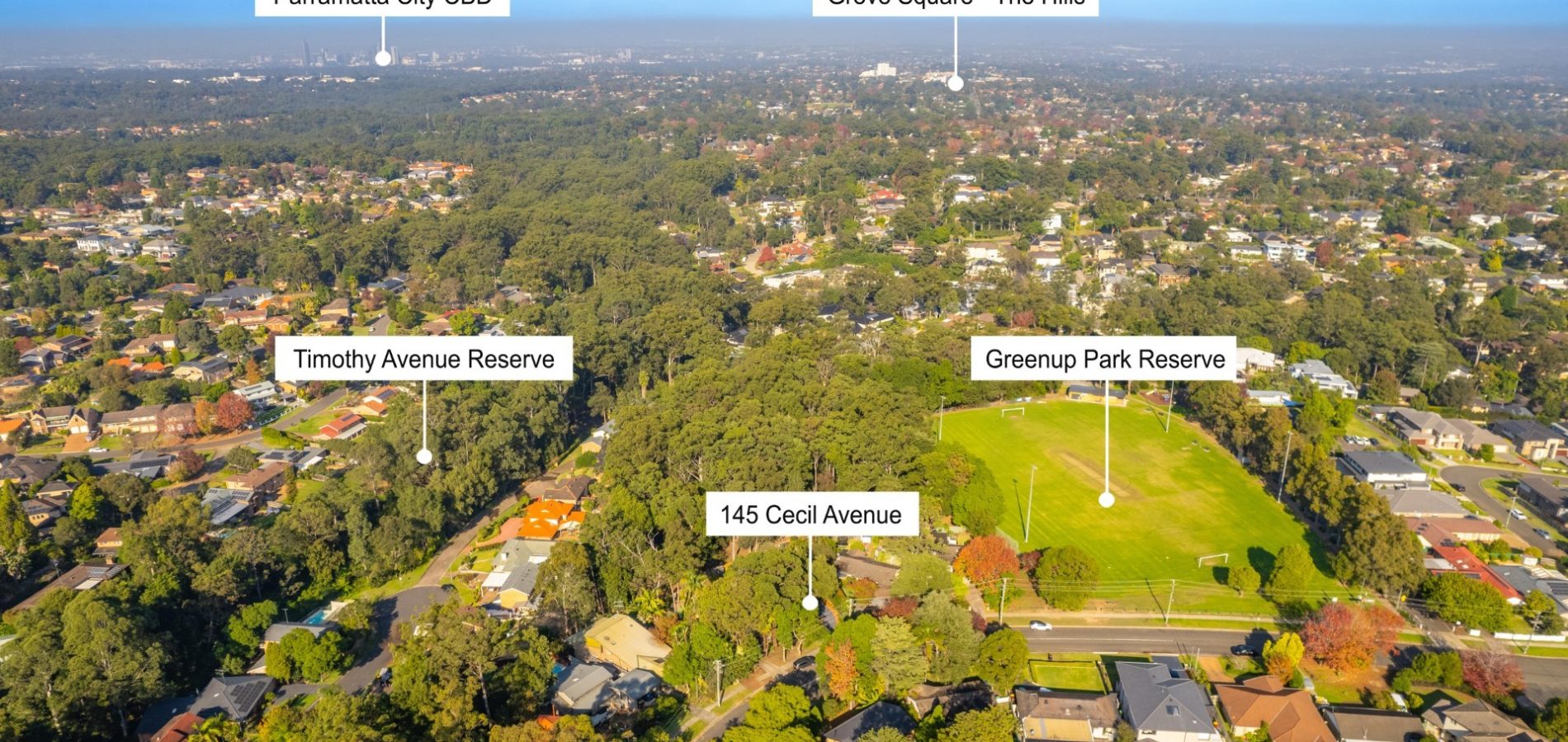 145 Cecil Avenue, Castle Hill NSW 2154 - photo 27