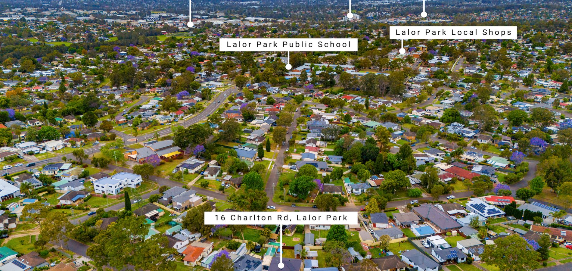 16 Charlton Road, Lalor Park NSW 2147 - photo 18