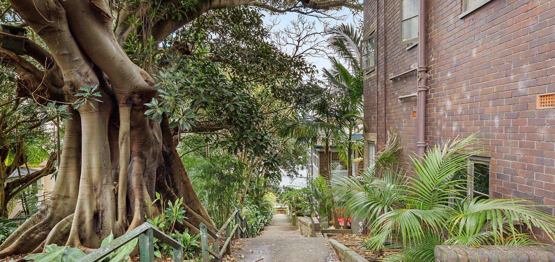Sold - 21/27 Lavender Street - New Property in Lavender Bay - Real Estate by Thomas Choy