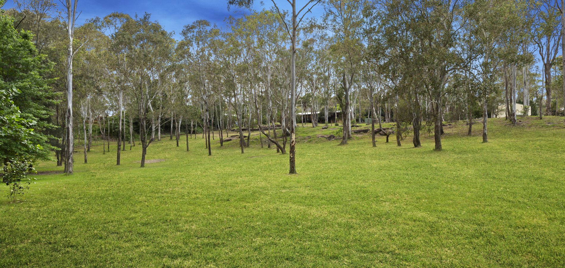 48 Nelson Road, Cattai NSW 2756 - photo 22