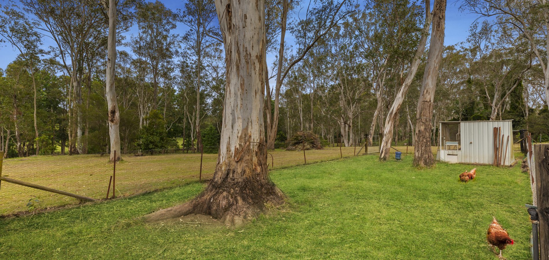 48 Nelson Road, Cattai NSW 2756 - photo 24