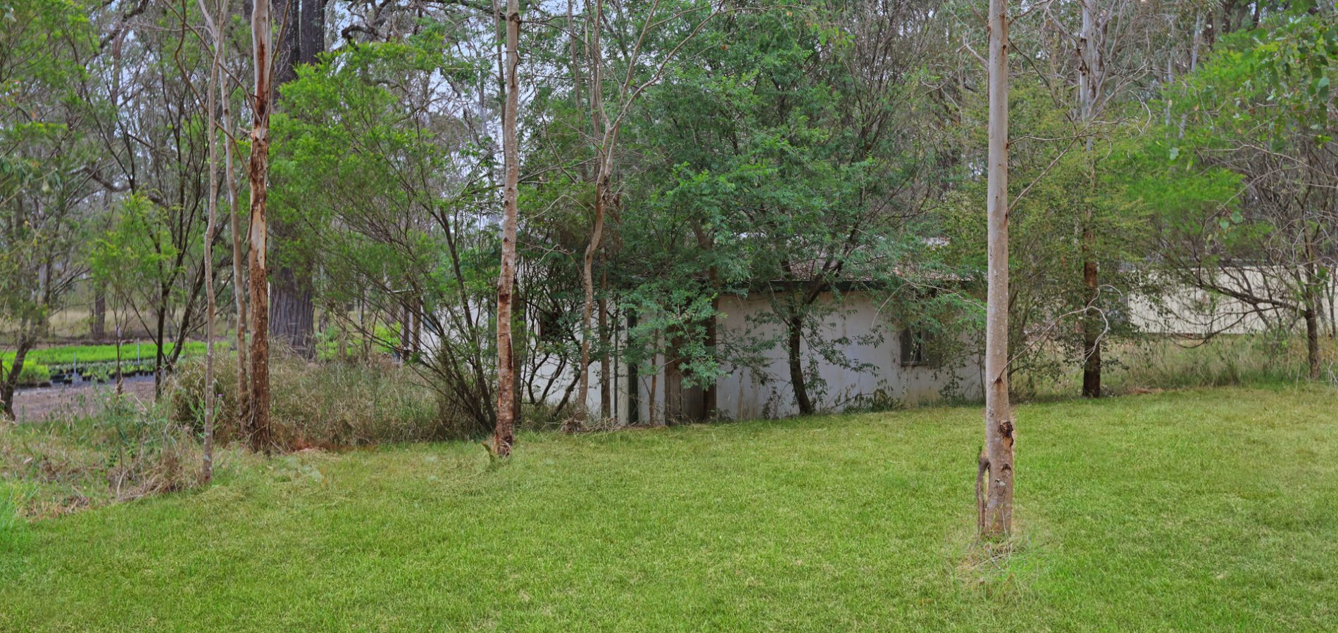 28-30 Bennett Road, Londonderry NSW 2753 - photo 6