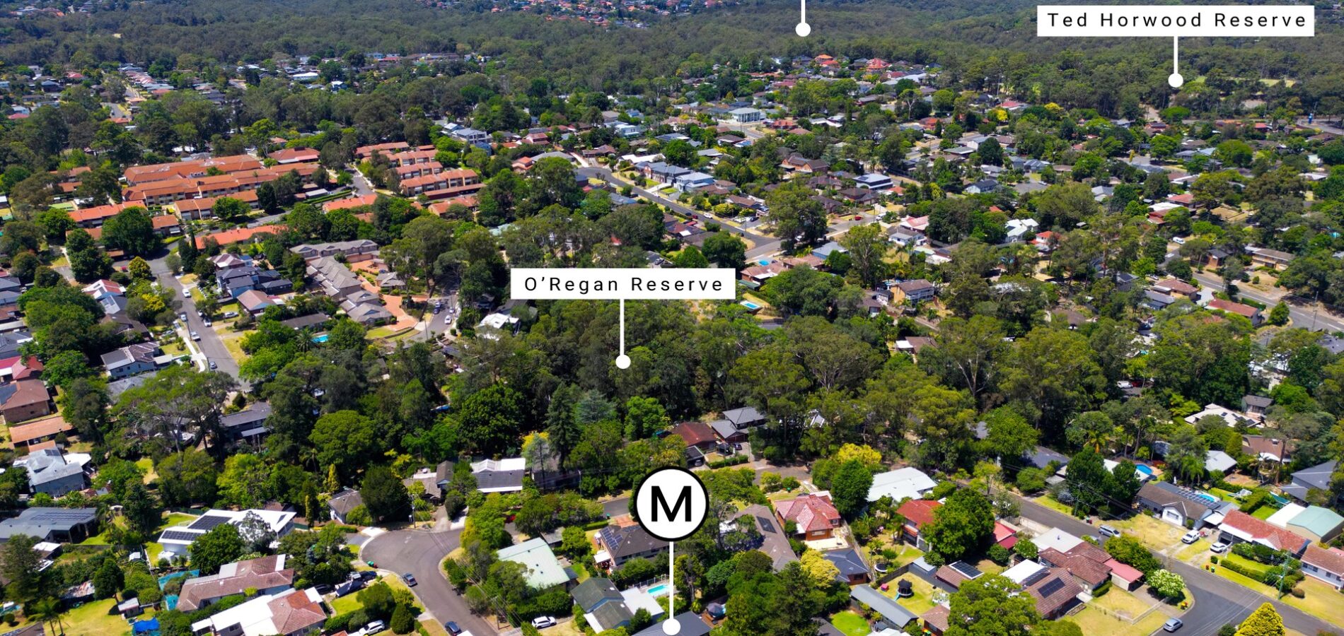 13 Ula Crescent, Baulkham Hills NSW 2153 - photo 17