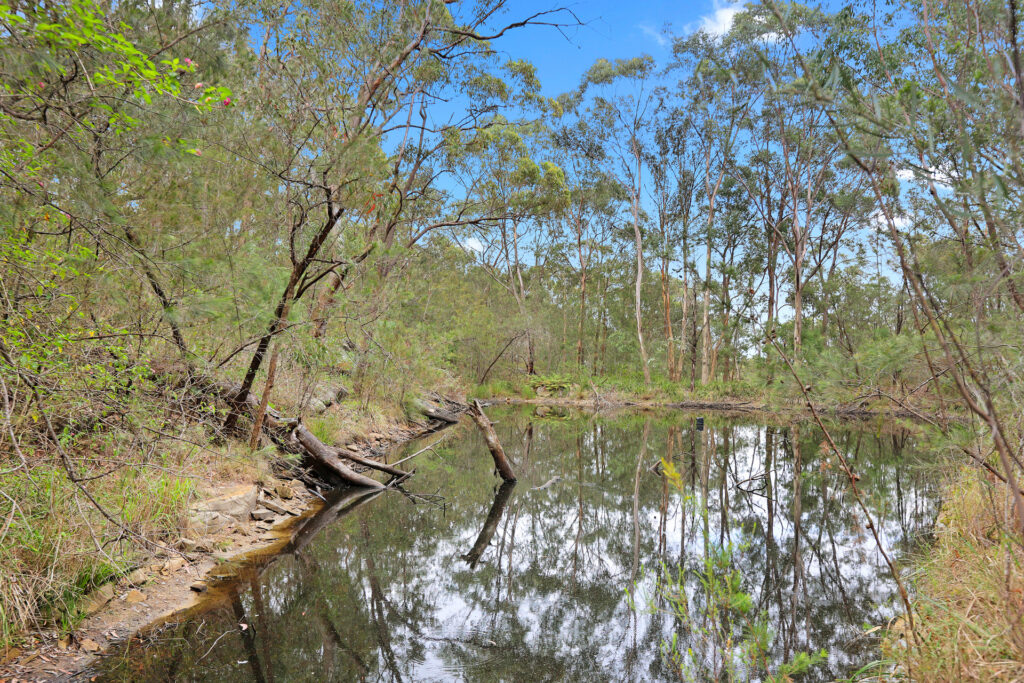 Sold - 956 Wisemans Ferry Road - New Property in South Maroota - Real Estate by Greg Vincent