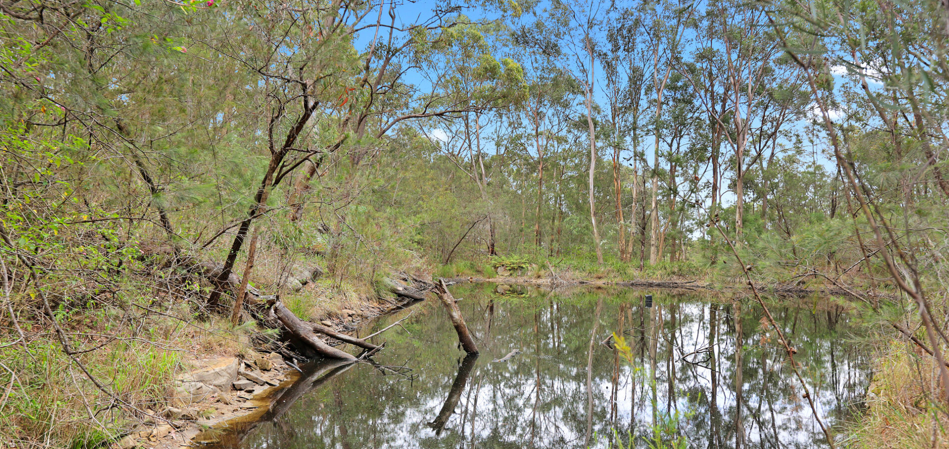 Sold - 956 Wisemans Ferry Road - New Property in South Maroota - Real Estate by Greg Vincent