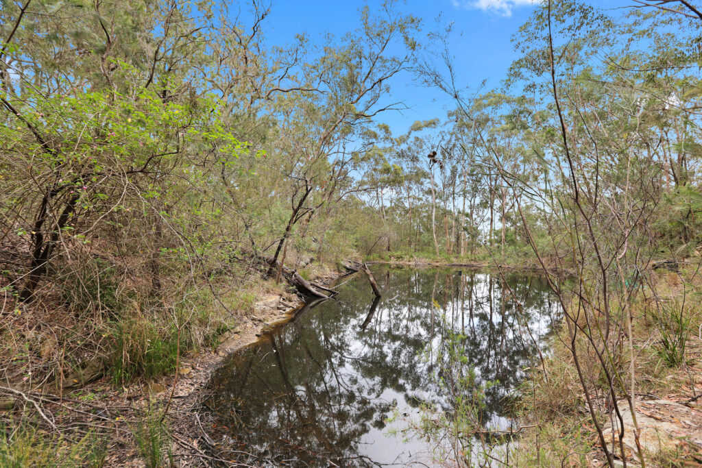 Sold - 956 Wisemans Ferry Road - New Property in South Maroota - Real Estate by Greg Vincent