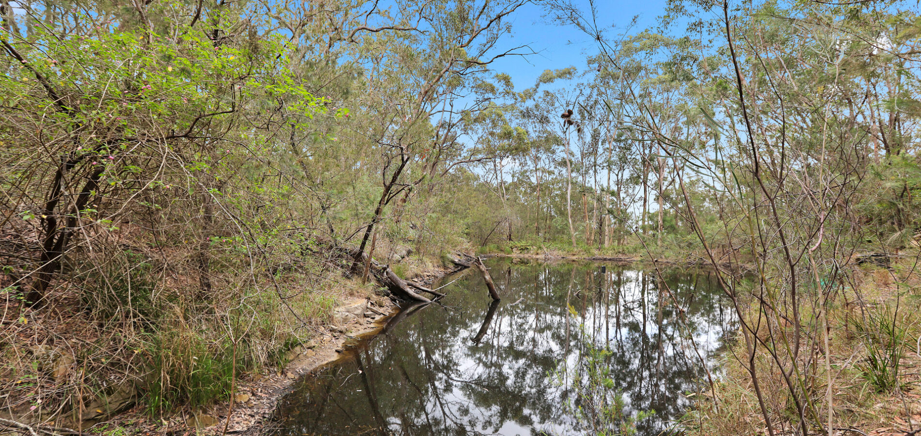 Sold - 956 Wisemans Ferry Road - New Property in South Maroota - Real Estate by Greg Vincent