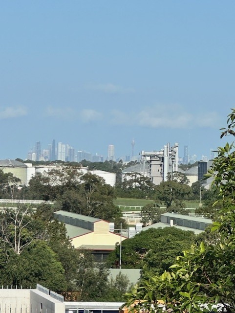 Sold - 13/5 Virginia Street - New Property in Rosehill - Real Estate by Arthur Kolovos