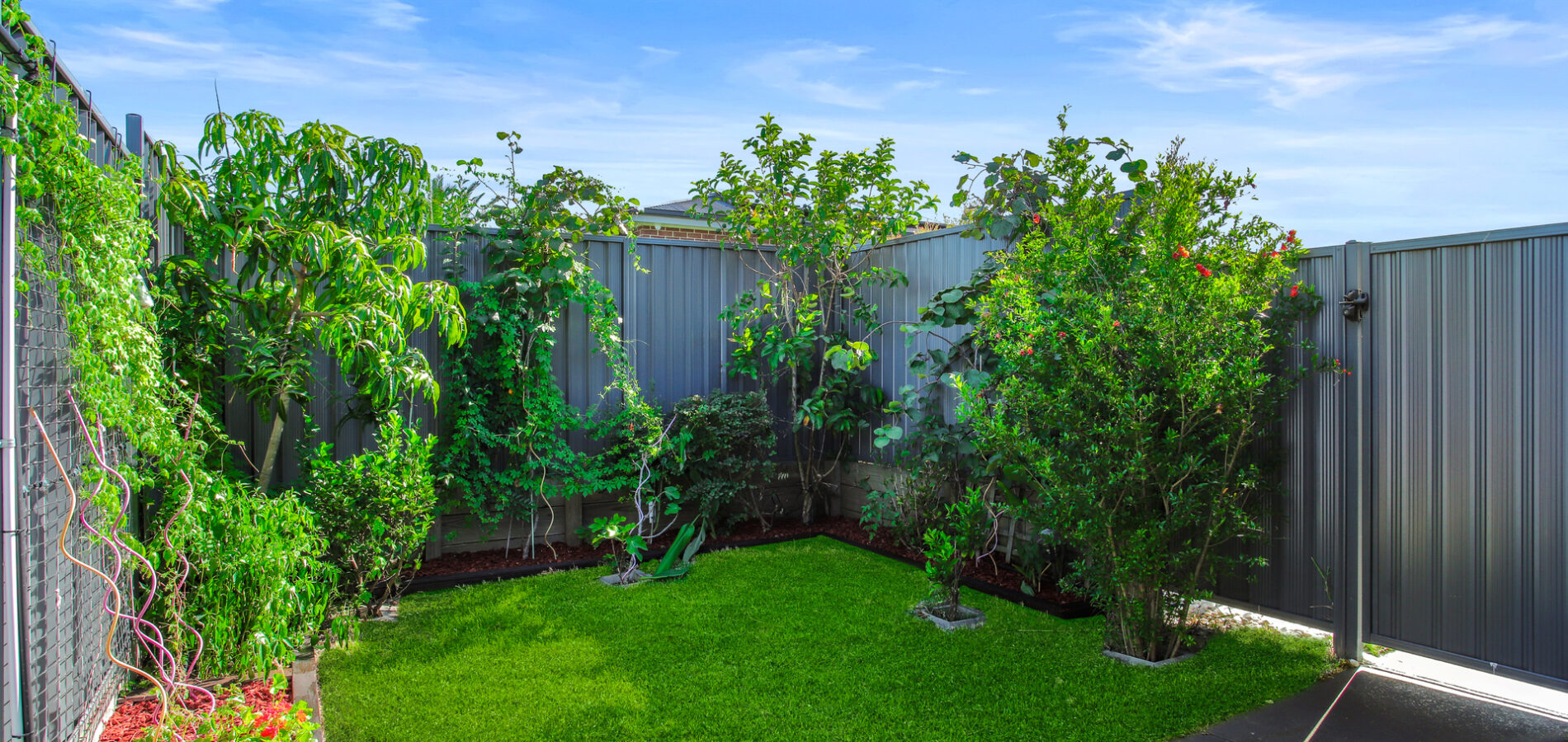 Sold - 95e Girraween Road - New Property in Girraween - Real Estate by Amit Nayak