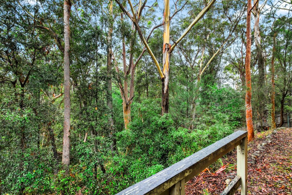 Sold - 44 Jenner Road - New Property in Dural - Real Estate by Danielle McLoughlin