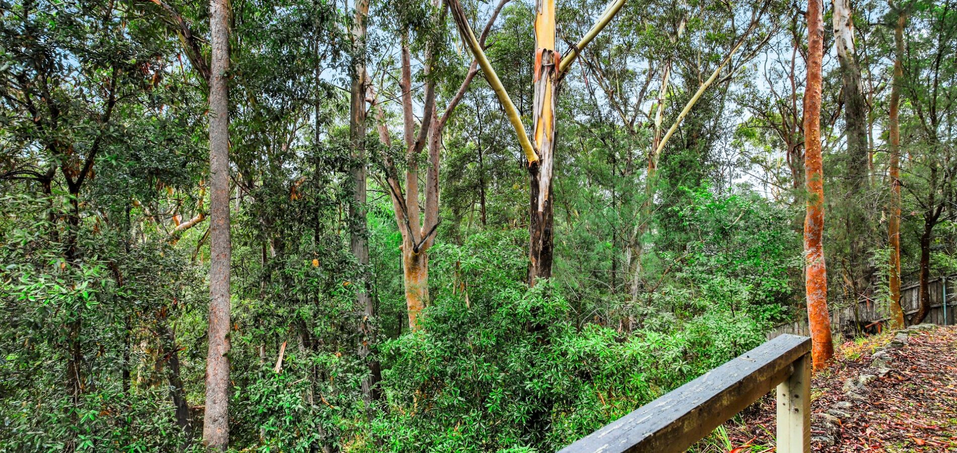 Sold - 44 Jenner Road - New Property in Dural - Real Estate by Danielle McLoughlin