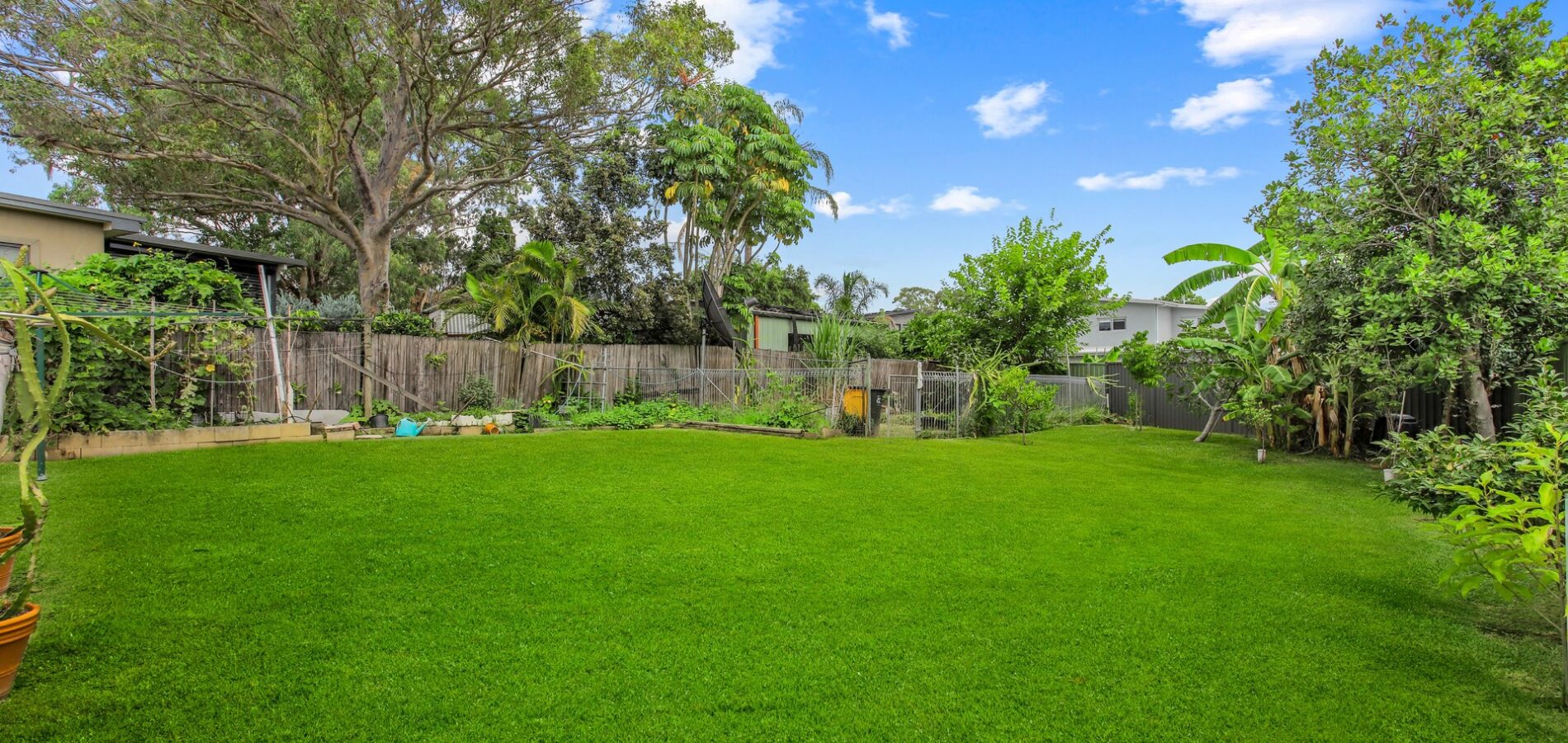 Sold - 32 Apple Street - New Property in Constitution Hill - Real Estate by Brad Panayiotou