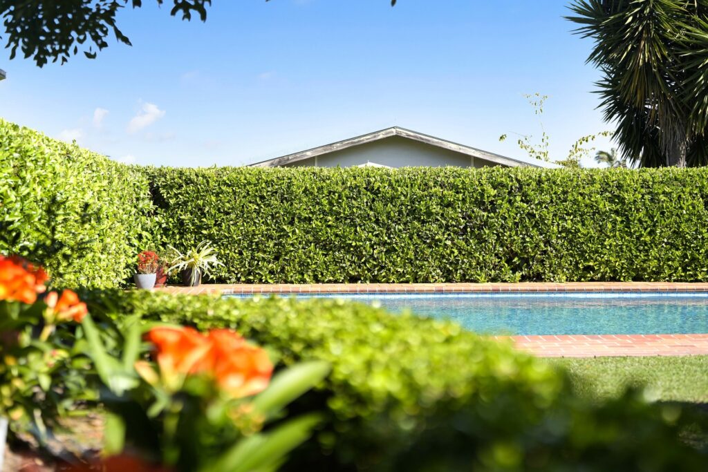 Sold - 116 Smith Street - New Property in Pendle Hill - Real Estate by Tariq Jameel