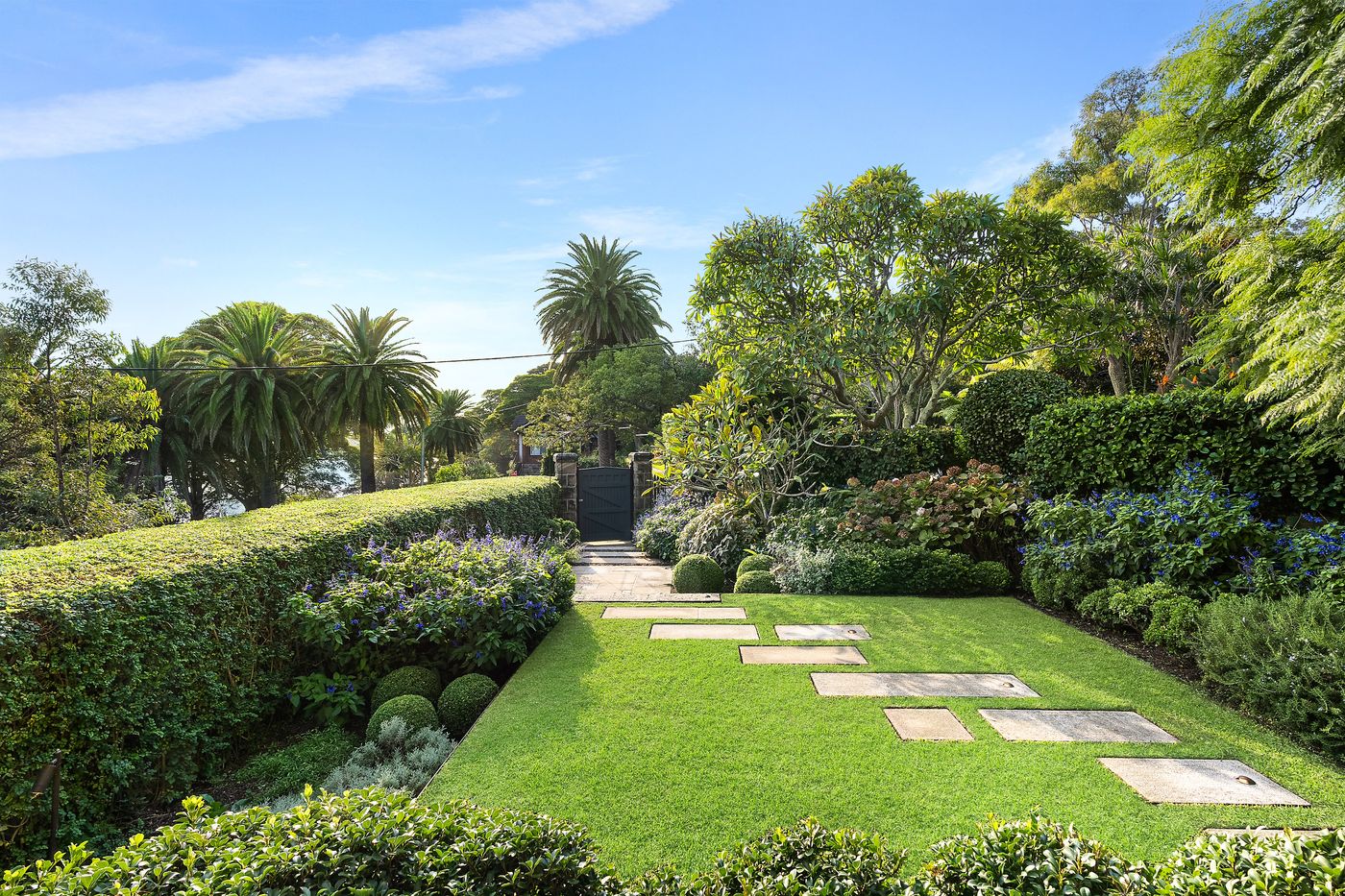 garden