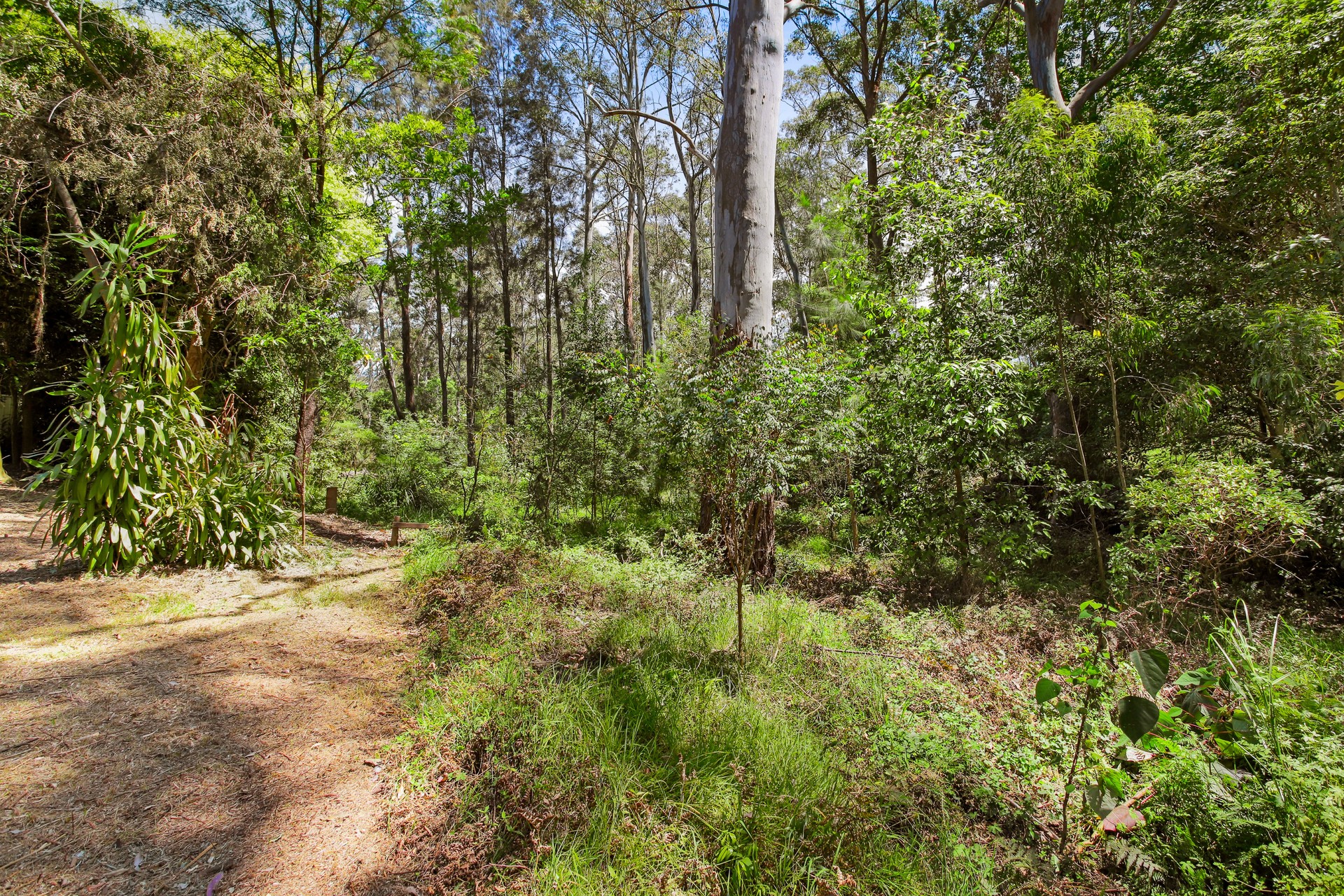 Sold - 17 Marguerite Crescent - New Property in West Pennant Hills - Real Estate by Mark Vinogradov