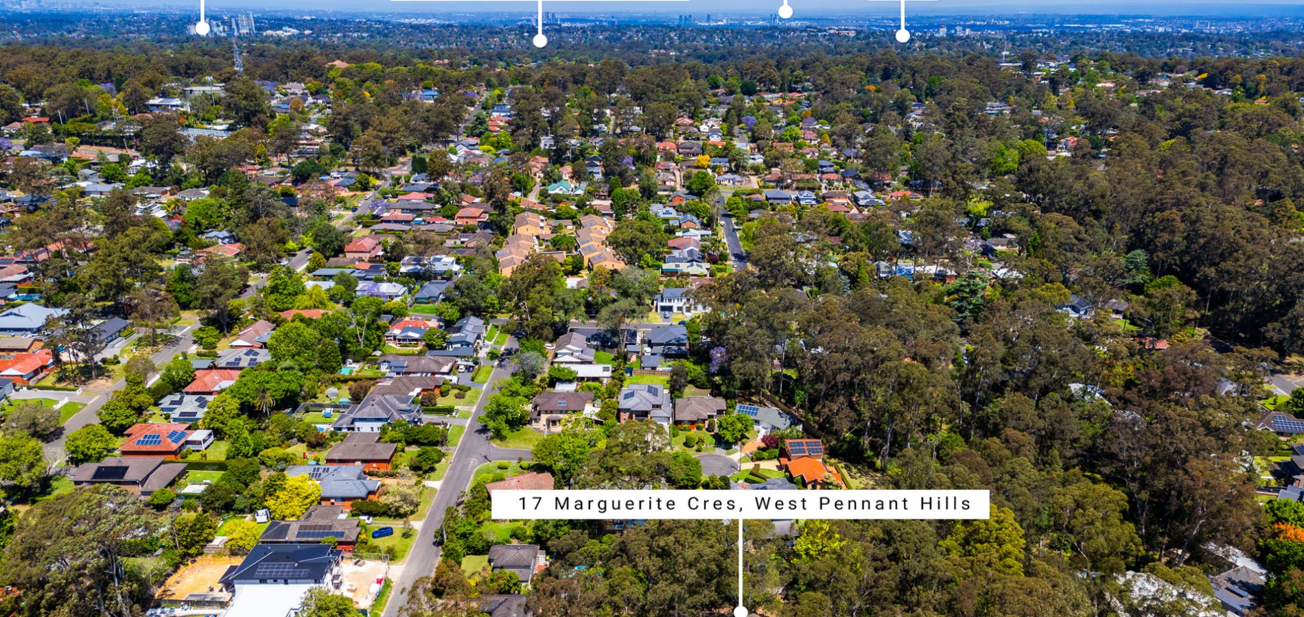 Sold - 17 Marguerite Crescent - New Property in West Pennant Hills - Real Estate by Mark Vinogradov