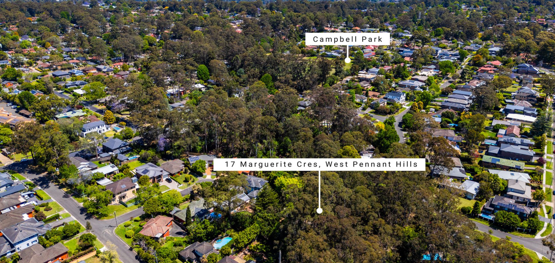 Sold - 17 Marguerite Crescent - New Property in West Pennant Hills - Real Estate by Mark Vinogradov