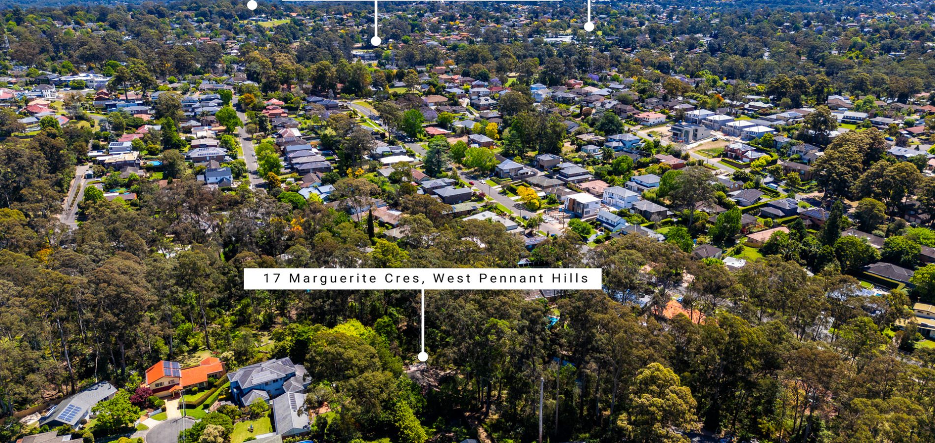 Sold - 17 Marguerite Crescent - New Property in West Pennant Hills - Real Estate by Mark Vinogradov
