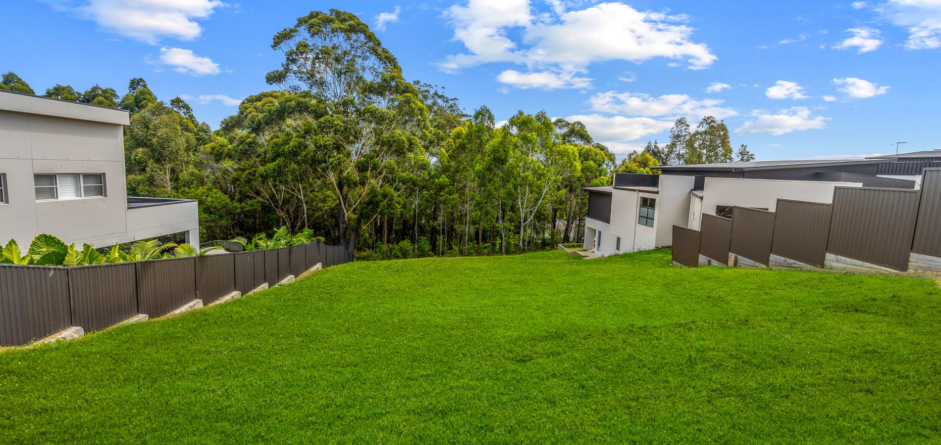 Sold - 37 Womurrung Avenue - New Property in Castle Hill - Real Estate by Anita Mirosevic